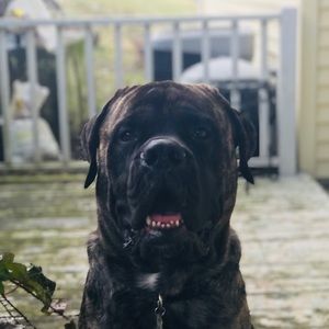 Meet your Posher, Nathan